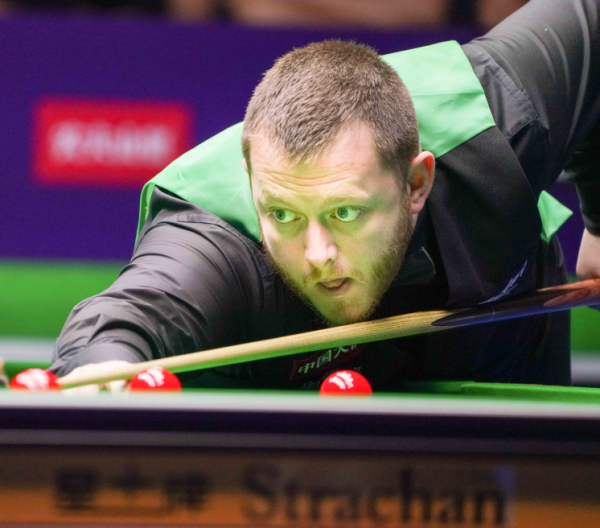 充满魅力的 充满魅力的