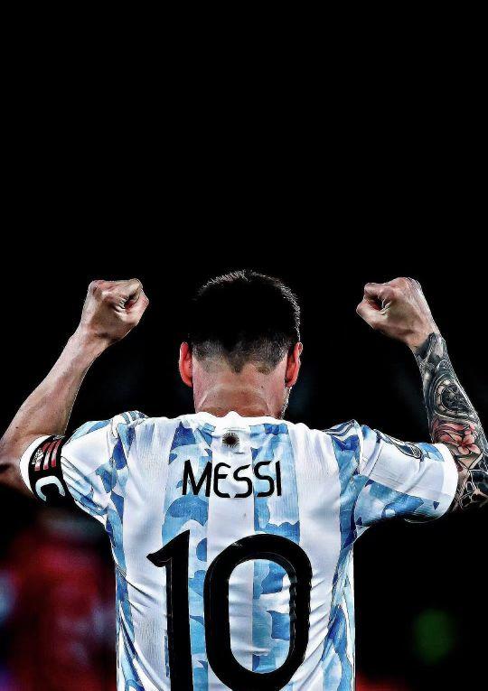 為了延續球 為了延續球