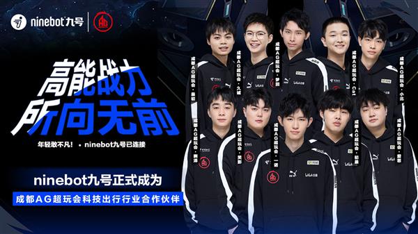 承担密集的